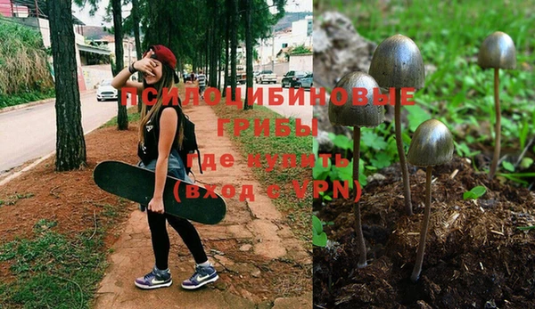 прущая мука Белокуриха