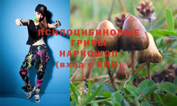 твердый Аркадак