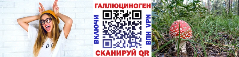 Псилоцибиновые грибы Psilocybine cubensis  omg зеркало  Карабулак 